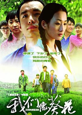 我们像葵花 我们像葵花