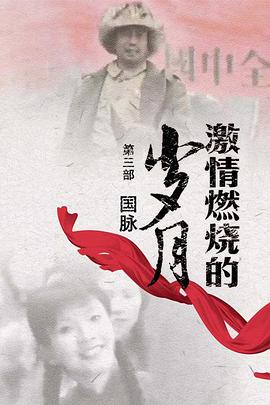 激情燃烧的岁月3 激情燃烧的岁月3