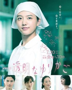 透明的摇篮 透明的摇篮
