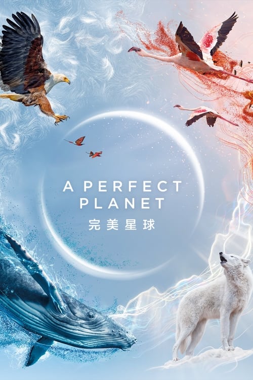 完美星球 完美星球