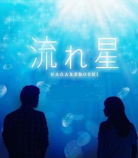 流星2010 流星2010