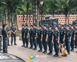 女特警2024 女特警2024