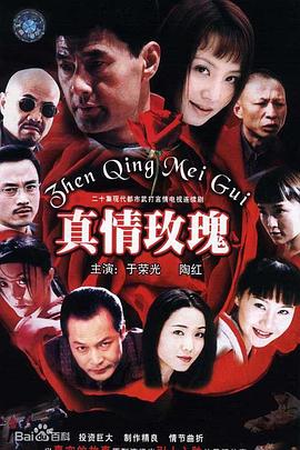 真情玫瑰 真情玫瑰