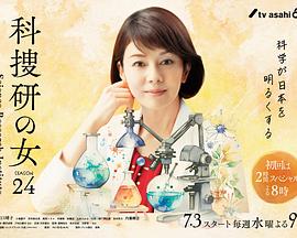 科搜研之女第24季 科搜研之女第24季